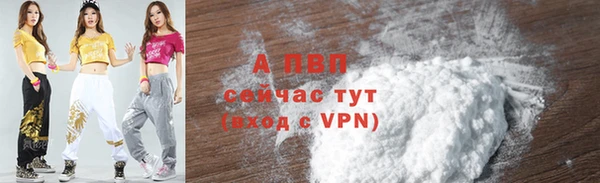 тгк Новозыбков