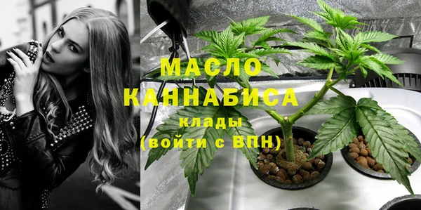 прущие грибы Новодвинск