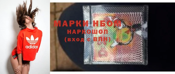 тгк Новозыбков