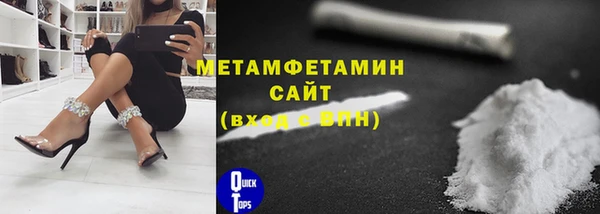 прущие грибы Новодвинск