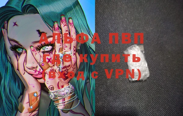 прущие грибы Новодвинск