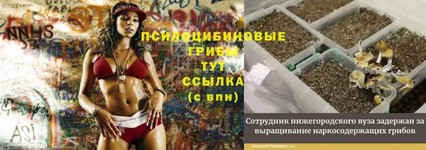 прущие грибы Новодвинск