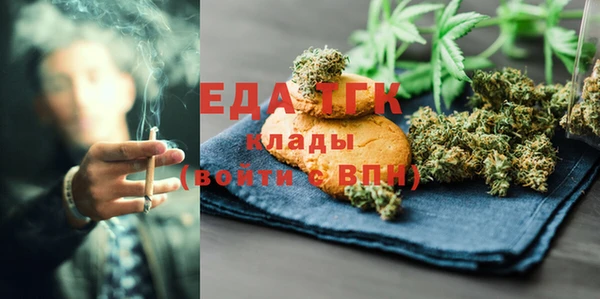тгк Новозыбков