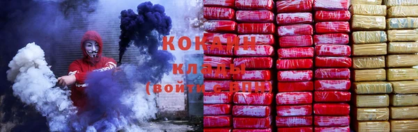тгк Новозыбков