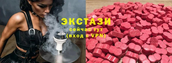 прущие грибы Новодвинск