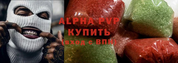 прущие грибы Новодвинск