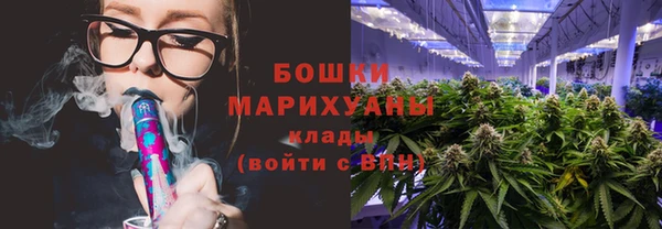 прущие грибы Новодвинск