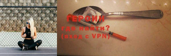 прущие грибы Новодвинск