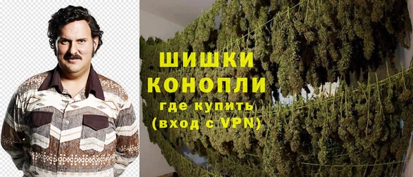 прущие грибы Новодвинск