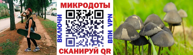 Галлюциногенные грибы Magic Shrooms  сайты даркнета Telegram  Пудож 